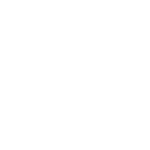 logo parsina white
