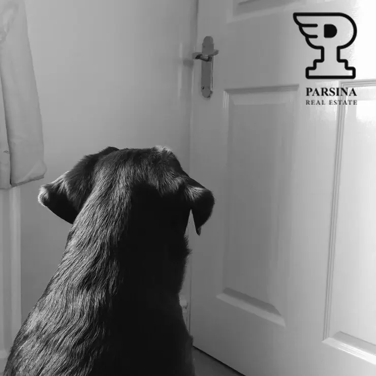 استفاده از مشاعات ساختمان