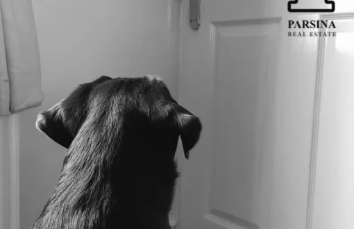 استفاده از مشاعات ساختمان